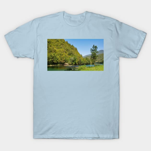 River Una Near Orasac in Bosnia T-Shirt by jojobob